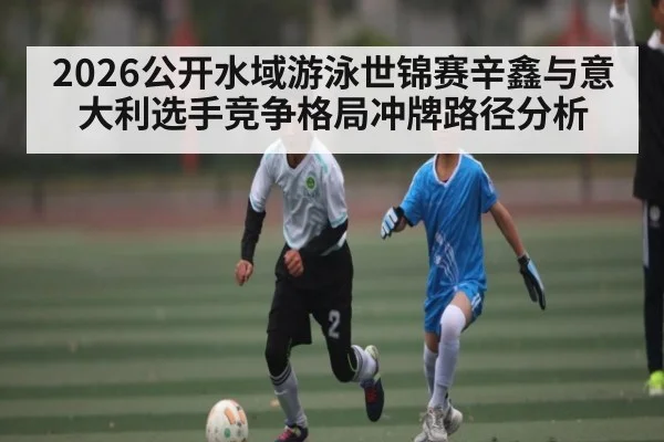 2026公开水域游泳世锦赛辛鑫与意大利选手竞争格局冲牌路径分析 | Kaiyun Sports